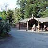Mitai Maori Village is a cultural experience that lets you witness the ancient Maori culture as well as a traditional meal.